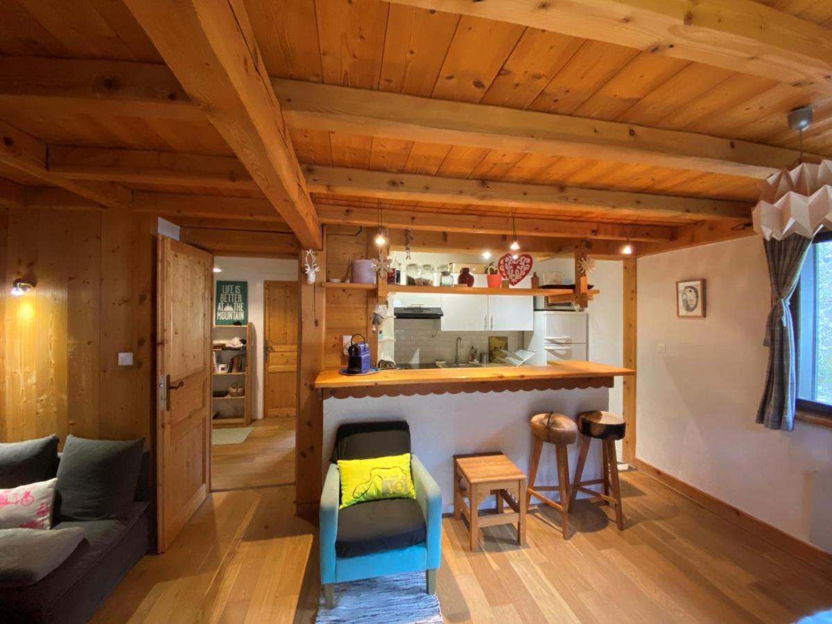 Appartement Cosy Au Pied Du Mtblanc Chamonix Zewnętrze zdjęcie